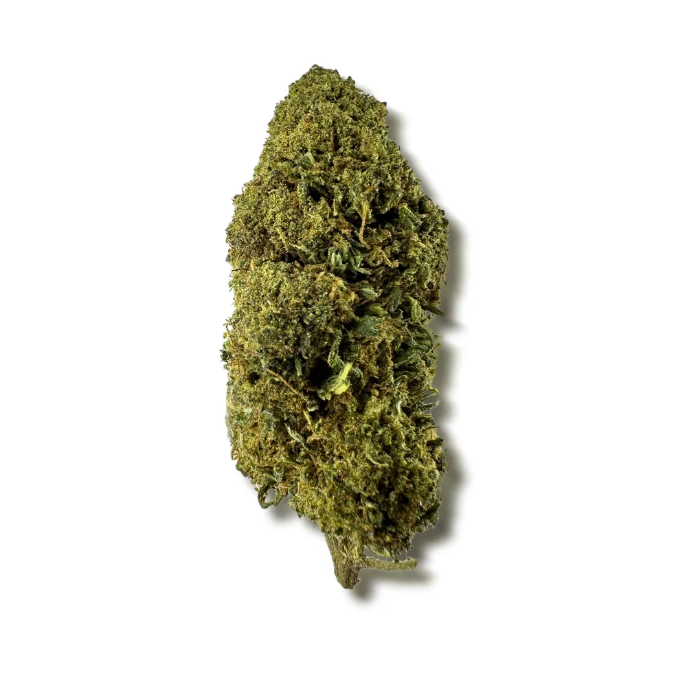 Fleur MCPN
