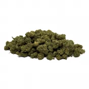 Small Bud BZ10
