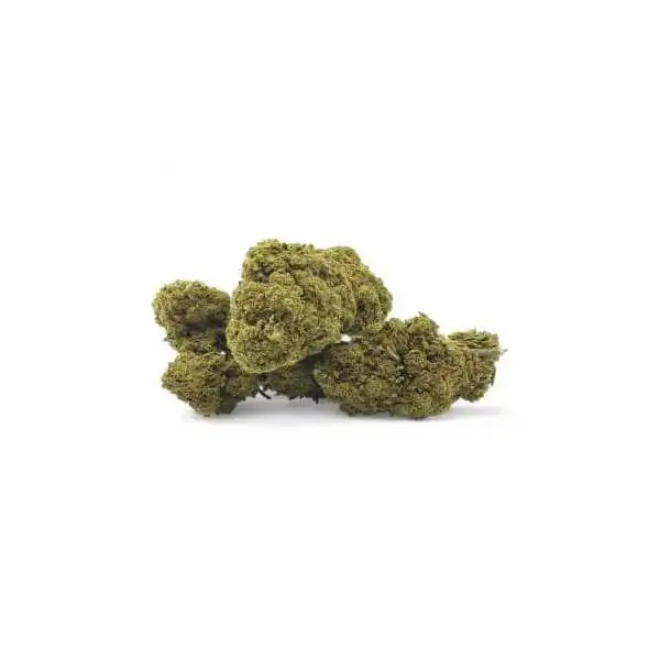 Gros plan sur des bourgeons de cannabis CBD séchés de couleur vert olive