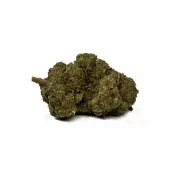fleur la frappe MCPN