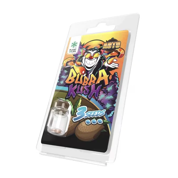 Graines de cannabis Bubba Kush Auto, packaging coloré avec clown, 3 graines, Plant of Life