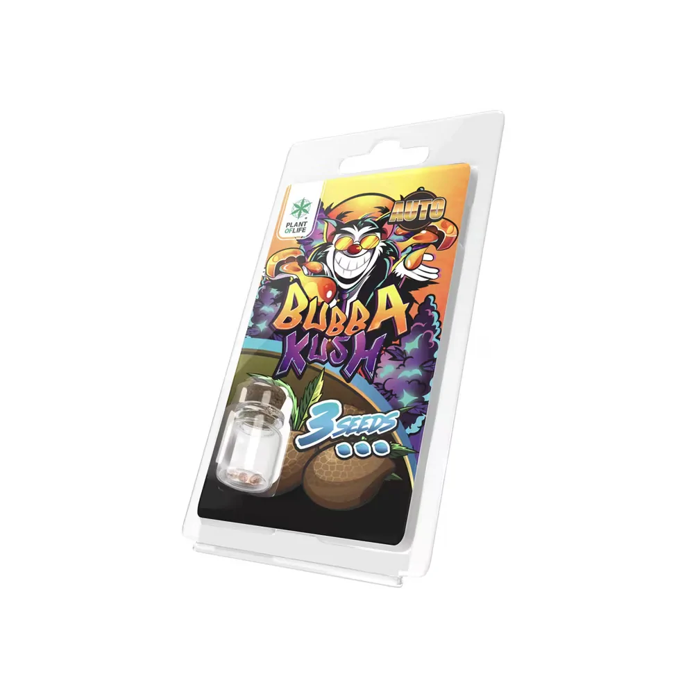 Graines de cannabis Bubba Kush Auto, packaging coloré avec clown, 3 graines, Plant of Life Graines de cannabis Bubba Kush Auto, packaging coloré avec clown, 3 graines, Plant of Life