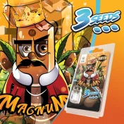 Graines Magnum AUTO, personnage cartoon royal avec moustache, pack de 3 graines cannabis