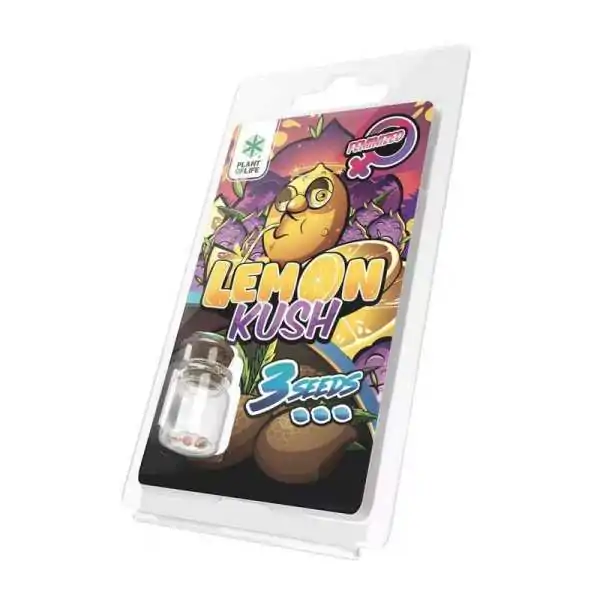 3 Graines Lemon Kush FÉMINISÉE | Plant of Life