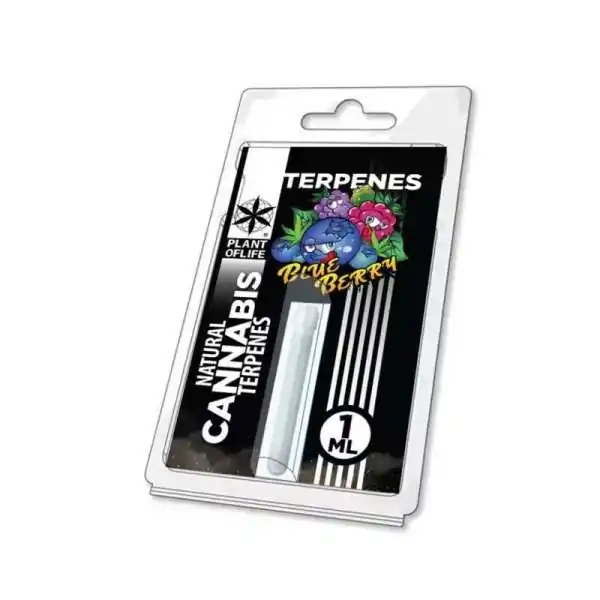 Terpène Blueberry Diesel | PLANT OF LIFE