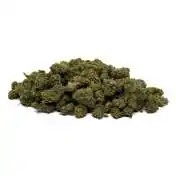 Fleurs de CBD Berry NL-1 séchées, en vrac, teneur 10%, aspect vert et compact