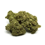 California Pink Haze NL-1