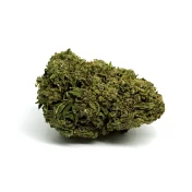 CBD California Pink Haze NL-1