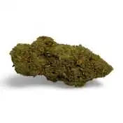 CBD Amnesia 2.0 Greenhouse