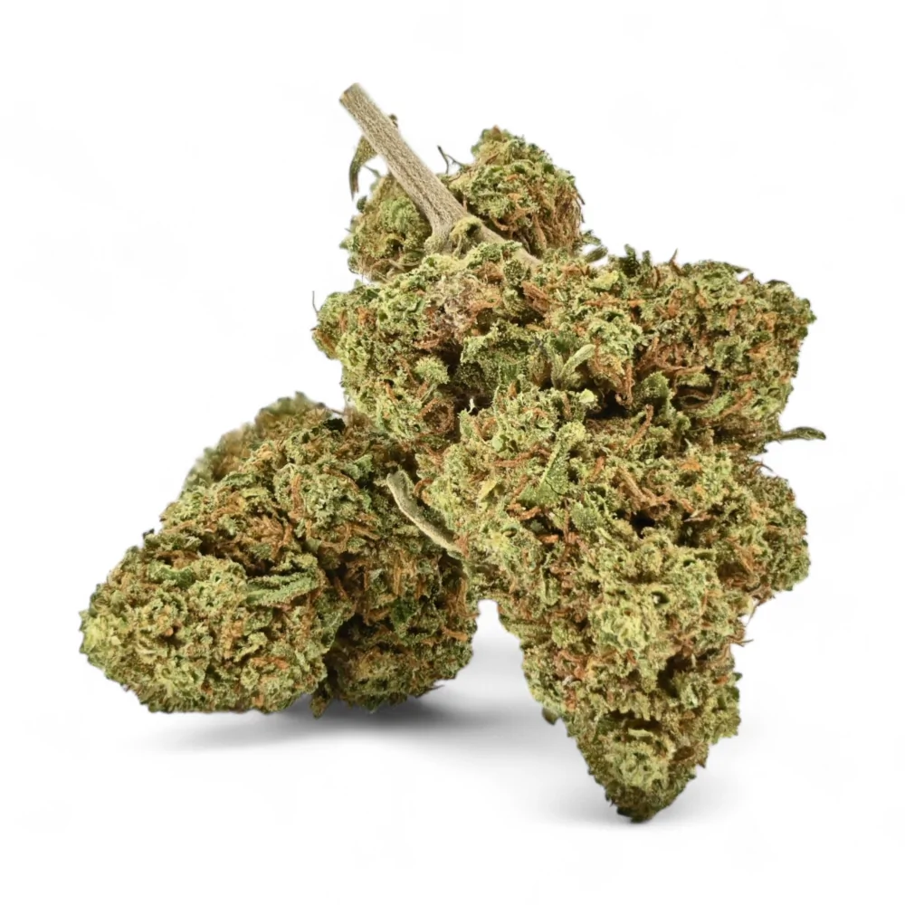 Fleurs de cannabis CBD California Kush, bourgeons verts denses avec des pistils orangés