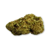 CBD Royal Boss Weed NL-1