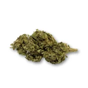 Déstockage Fleur de CBD Harlequin Indoor