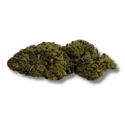 CBD Gorilla