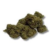 Fleur de CBD Gorilla