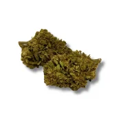 Gros plan sur des fleurs de CBD séchées de la variété Bubblegum, vert olive et compactes