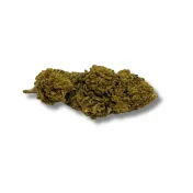 Fleur de CBD Bubblegum, bourgeons verts denses et compacts sur fond blanc