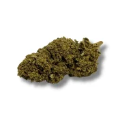 Fleur de CBD Buddha Fruit Greenhouse