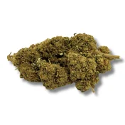 fleur de cbd buddha fruit