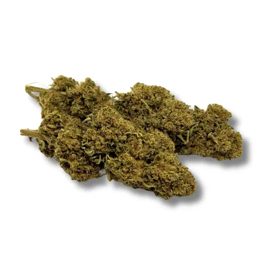 fleur de cbd buddha fruit greenhouse