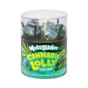 Boîte de sucettes Cannabis Lolly Energy Skunk Multitrance, 10 pièces, saveur cannabis Boîte de sucettes Cannabis Lolly Energy Skunk Multitrance, 10 pièces, saveur cannabis