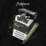 Cigarettes CBD Blunt King
