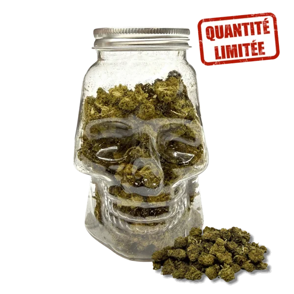 Fleurs CBD Small Bud Skull 25GR