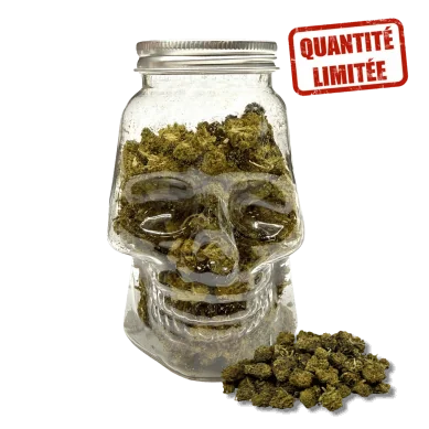 Fleurs CBD Small Bud Skull 25GR