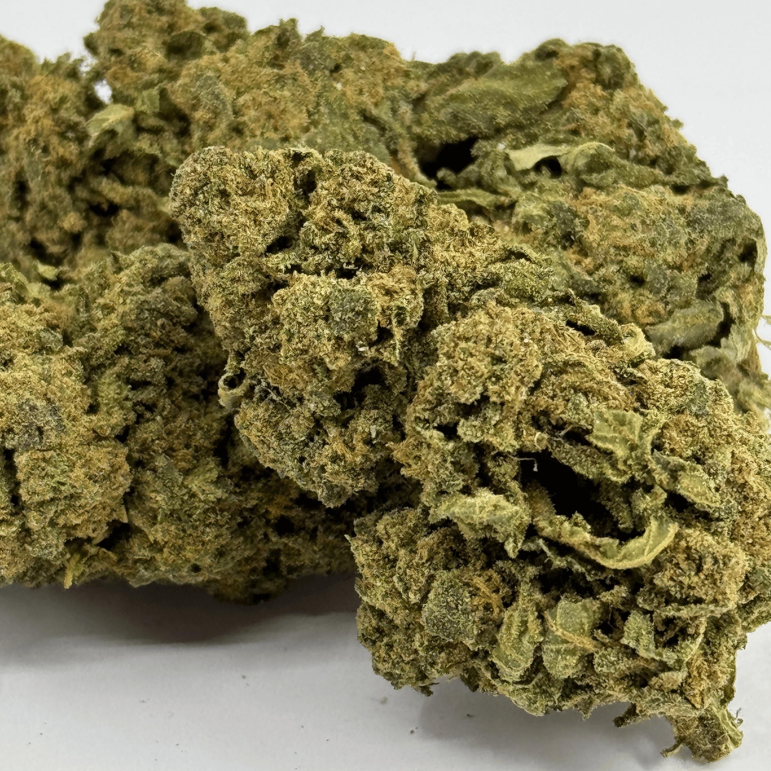 Fleur de CBD Candy Kush Greenhouse