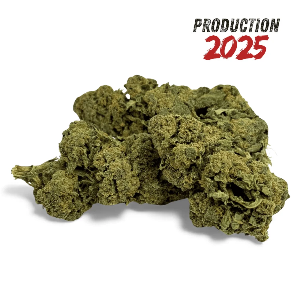 Fleur de CBD Candy Kush Greenhouse Fleur de CBD Candy Kush Greenhouse