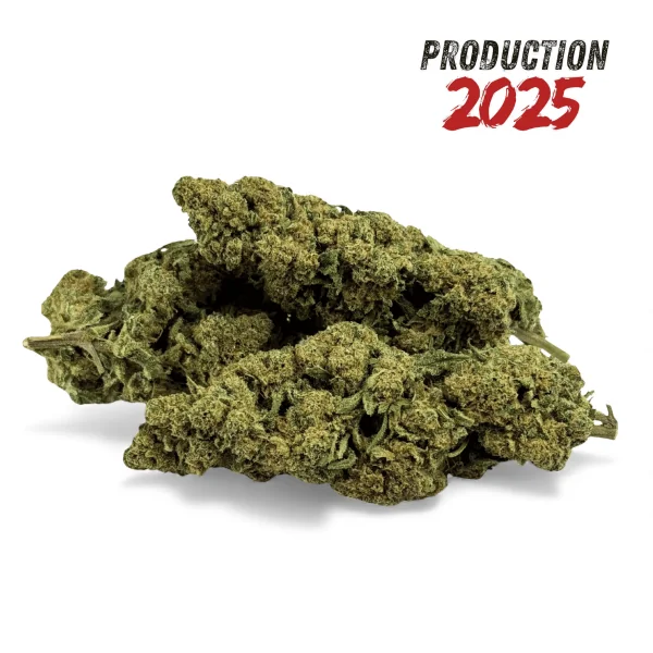 Fleur de CBD Super White...