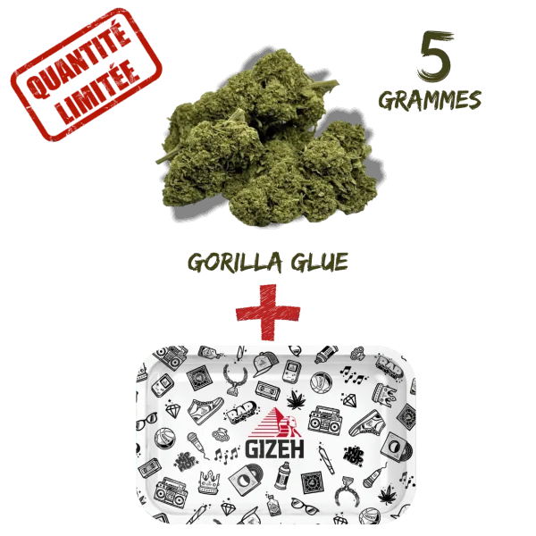 Pack Fleur CBD Gorilla Glue Greenhouse 8% + Plateau à Rouler GIZEH Comic Blanc 275x175mm