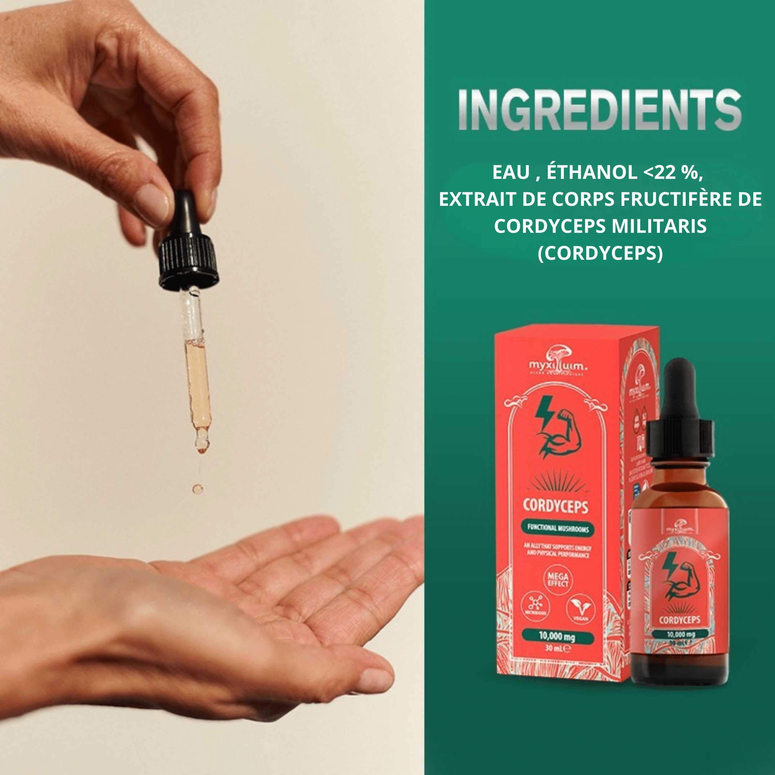 Extrait de Champignon Cordyceps MYXILLUIM  30 ml | PLANT OF LIFE