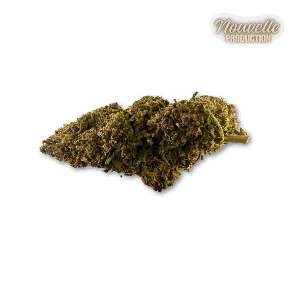 Fleur CBD Saphire Hybride