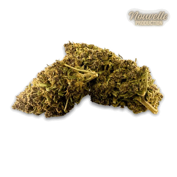 Fleur CBD Saphire Hybride Indoor