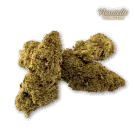 Fleur CBD Gelato Glue Indoor Premium