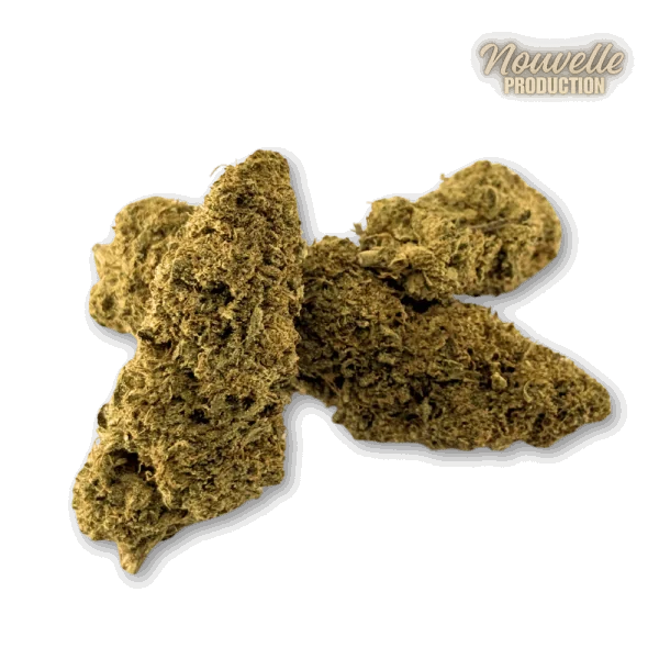 Fleur CBD Gelato Glue Indoor Premium