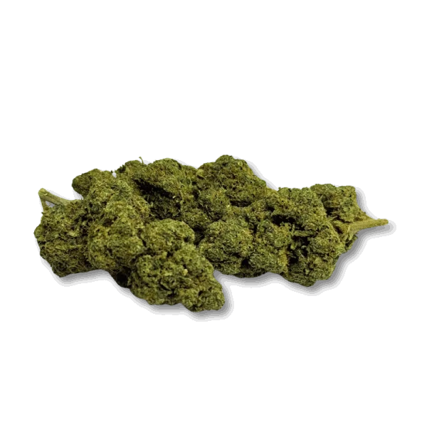 Fleur de CBD Sweet Cheese Indoor