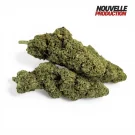 Fleur CBD Gelato Glue Indoor Premium
