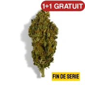 Fleur de CBD - SHERBET