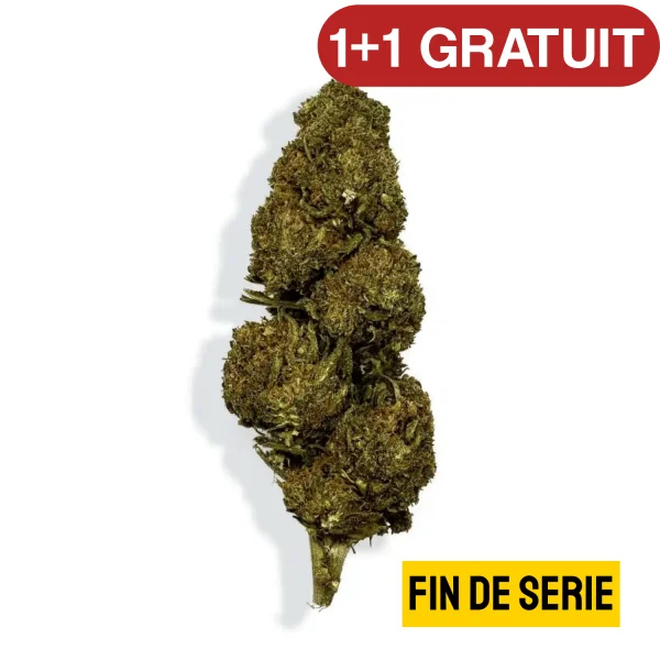 Fleur de CBD - BLUEBERRY