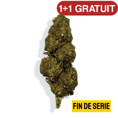 Fleur de CBD - BLUEBERRY