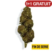 Fleur de CBD - BLUEBERRY