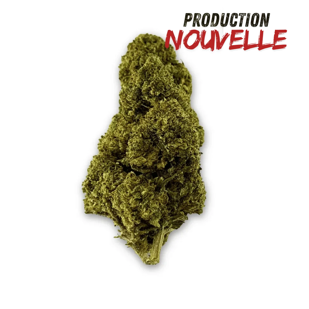 Fleur De CBD Green Crack Indoor Edition Limitée