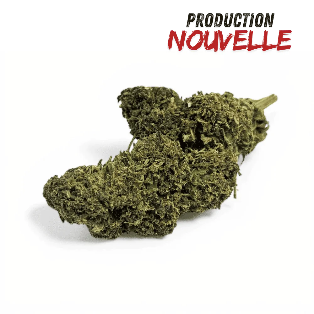 Fleur CBD Saphire Hybride Indoor 14,84 %