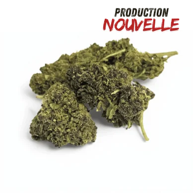 Fleur CBD Saphire Hybride Indoor