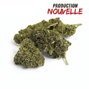 Fleur CBD Saphire Hybride Indoor
