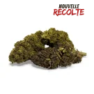 Fleur de CBD Mandarine Haze Greenhouse