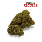 Fleur de CBD Sour Lime Haze Greenhouse