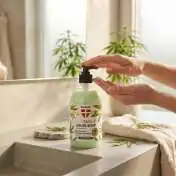 Savon Liquide au Chanvre Mains, 500 ml Palacio : texture moussante