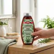 Shampooing Cannabis Romarin à l'Huile de Chanvre, 500 ml Palacio : application sur les cheveux